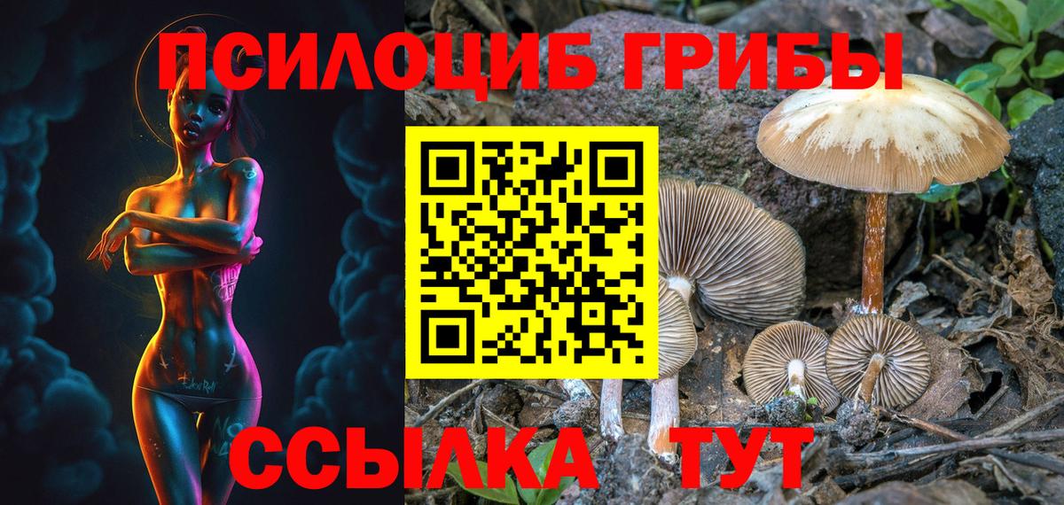 Псилоцибиновые грибы прущие грибы Реутов